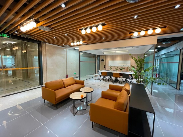 云南二代魔芋种子价格多少钱